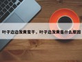 叶子边边发黄变干，叶子边发黄是什么原因
