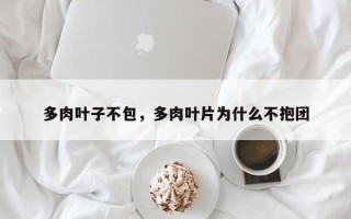 多肉叶子不包，多肉叶片为什么不抱团