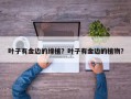叶子有金边的绿植？叶子有金边的植物？