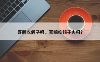 喜鹊吃鸽子吗，喜鹊吃鸽子肉吗？