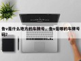 鲁v是什么地方的车牌号，鲁v是哪的车牌号码？