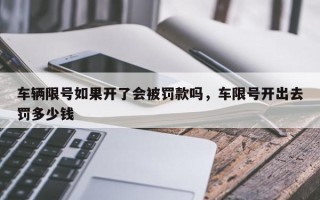 车辆限号如果开了会被罚款吗，车限号开出去罚多少钱
