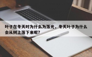 叶子在冬天时为什么为落光，冬天叶子为什么会从树上落下来呢?