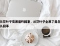 兰花叶子变黑是咋回事，兰花叶子全黑了是怎么回事