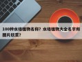 100种水培植物名称？水培植物大全名字和图片欣赏？