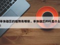单体雄蕊的植物有哪些，单体雄蕊的科是什么！