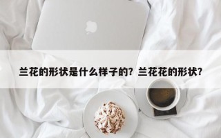 兰花的形状是什么样子的？兰花花的形状？
