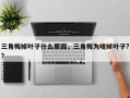 三角梅掉叶子什么原因，三角梅为啥掉叶子?？