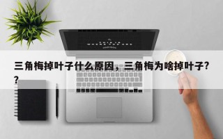 三角梅掉叶子什么原因，三角梅为啥掉叶子?？