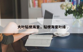 大叶贴梗海棠，贴梗海棠叶缘