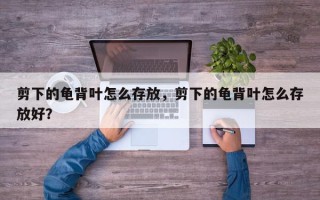 剪下的龟背叶怎么存放，剪下的龟背叶怎么存放好？