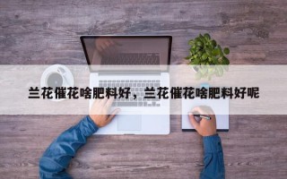 兰花催花啥肥料好，兰花催花啥肥料好呢