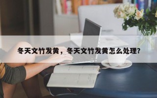 冬天文竹发黄，冬天文竹发黄怎么处理？