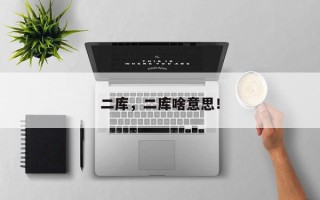 二库，二库啥意思！