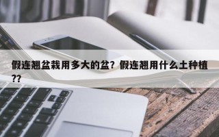 假连翘盆栽用多大的盆？假连翘用什么土种植?？