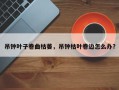 吊钟叶子卷曲枯萎，吊钟枯叶卷边怎么办？