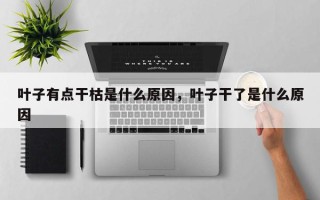 叶子有点干枯是什么原因，叶子干了是什么原因