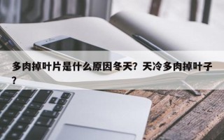 多肉掉叶片是什么原因冬天？天冷多肉掉叶子？