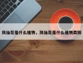 凤仙花是什么植物，凤仙花是什么植物类别