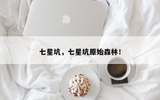 七星坑，七星坑原始森林！