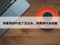 凤尾葵的叶枯了怎么办，凤尾葵叶尖枯萎