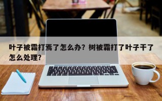 叶子被霜打焉了怎么办？树被霜打了叶子干了怎么处理？