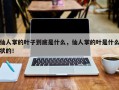 仙人掌的叶子到底是什么，仙人掌的叶是什么状的！