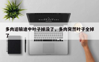 多肉运输途中叶子掉没了，多肉突然叶子全掉了