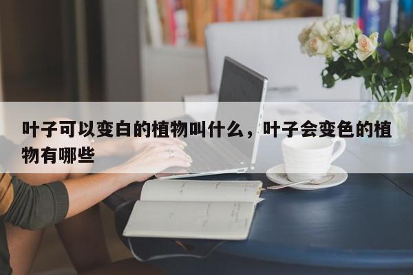叶子可以变白的植物叫什么，叶子会变色的植物有哪些-第1张图片-我家生活百科