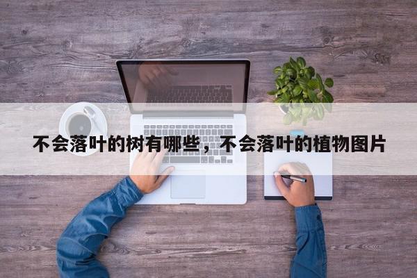 不会落叶的树有哪些，不会落叶的植物图片-第1张图片-我家生活百科