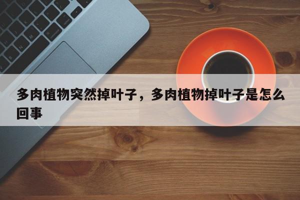 多肉植物突然掉叶子，多肉植物掉叶子是怎么回事-第1张图片-我家生活百科