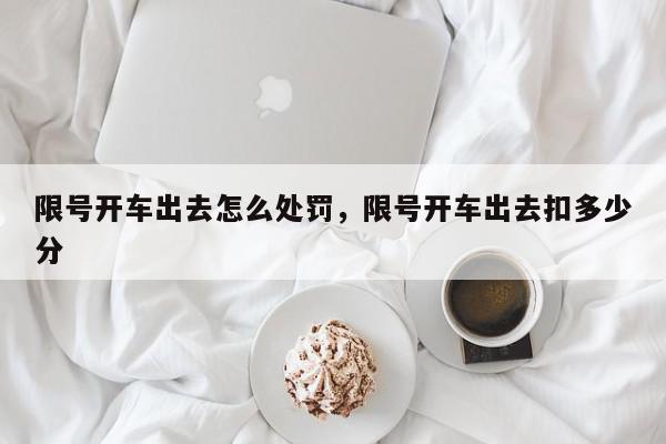 限号开车出去怎么处罚，限号开车出去扣多少分-第1张图片-我家生活百科