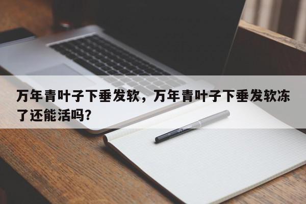 万年青叶子下垂发软，万年青叶子下垂发软冻了还能活吗？-第1张图片-我家生活百科