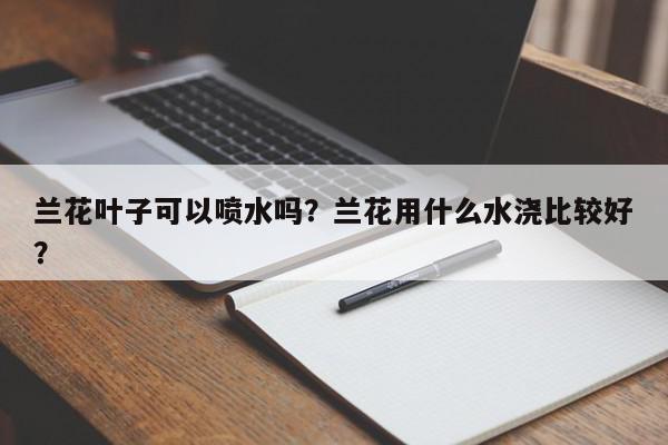 兰花叶子可以喷水吗？兰花用什么水浇比较好？-第1张图片-我家生活百科