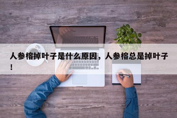 人参榕掉叶子是什么原因，人参榕总是掉叶子！-第1张图片-我家生活百科