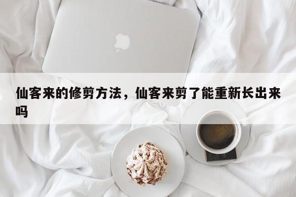 仙客来的修剪方法，仙客来剪了能重新长出来吗-第1张图片-我家生活百科