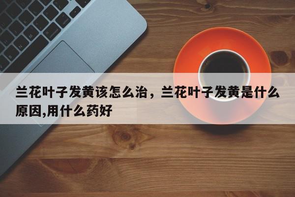 兰花叶子发黄该怎么治，兰花叶子发黄是什么原因,用什么药好-第1张图片-我家生活百科