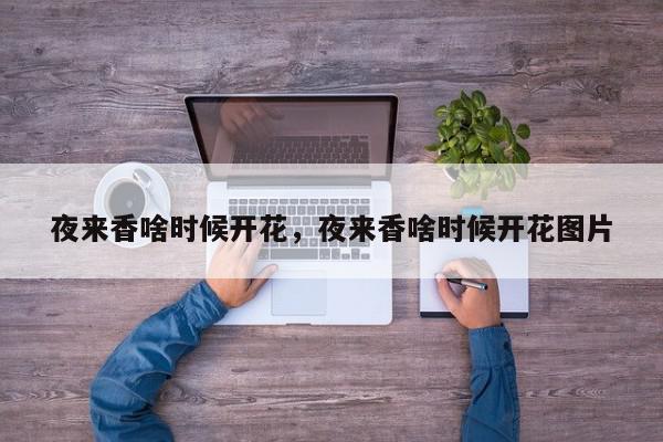 夜来香啥时候开花，夜来香啥时候开花图片-第1张图片-我家生活百科