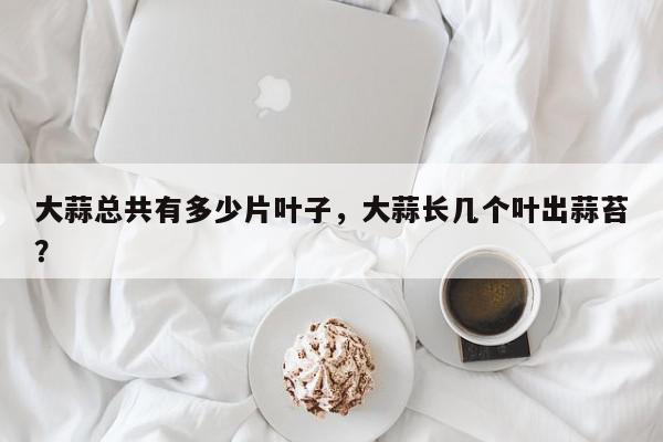 大蒜总共有多少片叶子，大蒜长几个叶出蒜苔？-第1张图片-我家生活百科