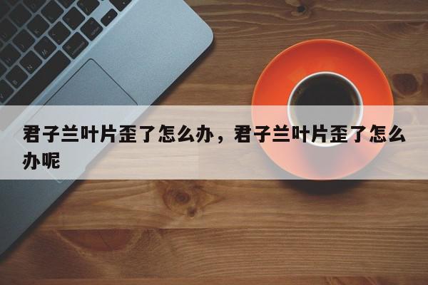 君子兰叶片歪了怎么办，君子兰叶片歪了怎么办呢-第1张图片-我家生活百科