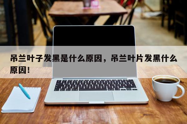 吊兰叶子发黑是什么原因，吊兰叶片发黑什么原因！-第1张图片-我家生活百科