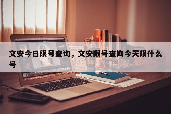 文安今日限号查询，文安限号查询今天限什么号-第1张图片-我家生活百科