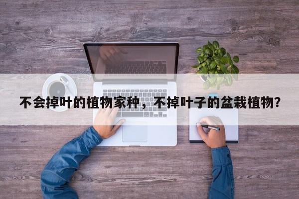 不会掉叶的植物家种，不掉叶子的盆栽植物？-第1张图片-我家生活百科