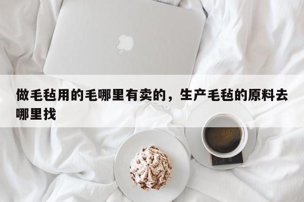 做毛毡用的毛哪里有卖的，生产毛毡的原料去哪里找-第1张图片-我家生活百科