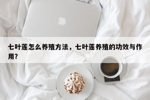 七叶莲怎么养殖方法，七叶莲养殖的功效与作用？-第1张图片-我家生活百科