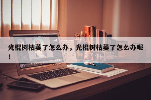 光棍树枯萎了怎么办，光棍树枯萎了怎么办呢！-第1张图片-我家生活百科