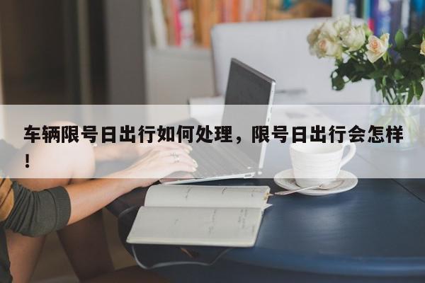 车辆限号日出行如何处理，限号日出行会怎样！-第1张图片-我家生活百科