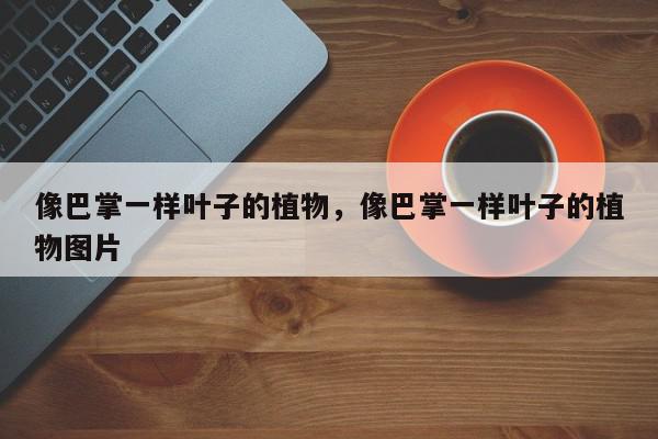 像巴掌一样叶子的植物，像巴掌一样叶子的植物图片-第1张图片-我家生活百科