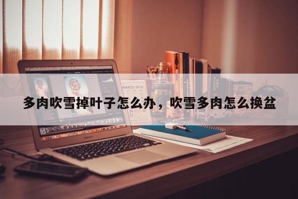 多肉吹雪掉叶子怎么办，吹雪多肉怎么换盆-第1张图片-我家生活百科