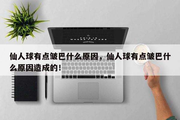 仙人球有点皱巴什么原因，仙人球有点皱巴什么原因造成的！-第1张图片-我家生活百科